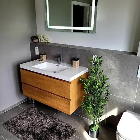 Modernes Mit Balkon I 45qm I Zentrum Apartamento Vallendar