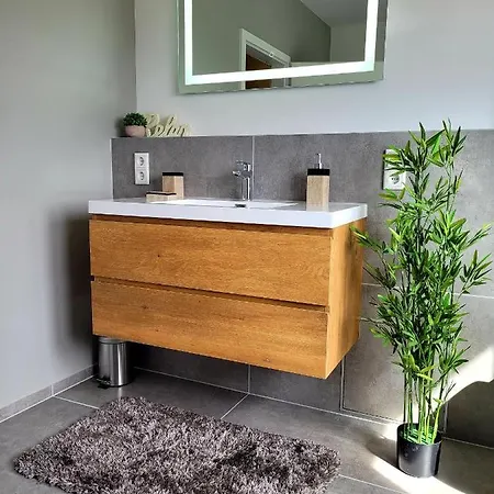 Apartment Modernes Rhein Mit Balkon *