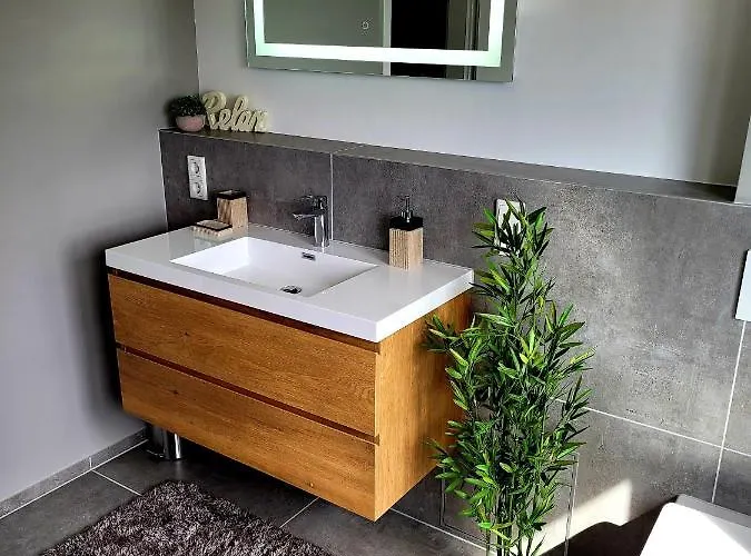 Modernes Rhein Mit Balkon Apartment Vallendar