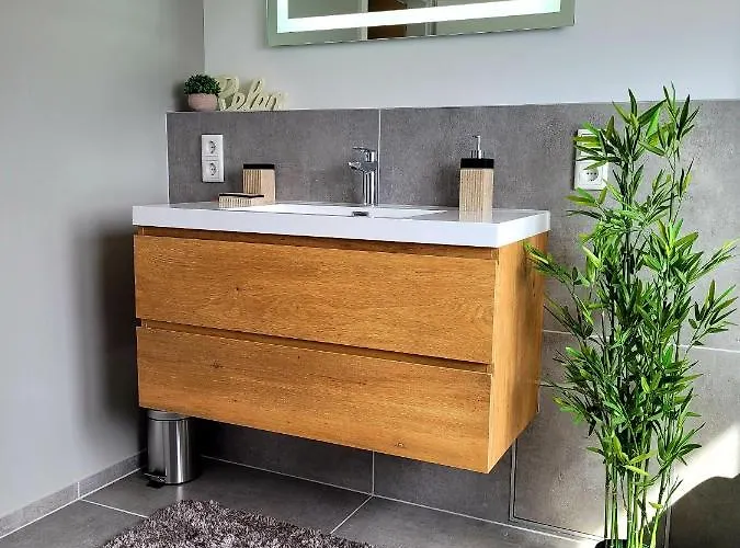 Apartment Modernes Rhein Mit Balkon *