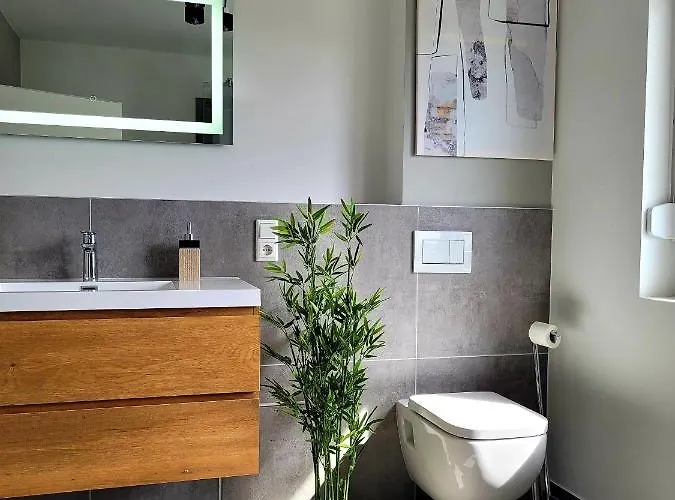 Modernes Rhein Mit Balkon *