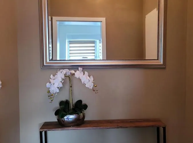 Modernes Rhein Mit Balkon